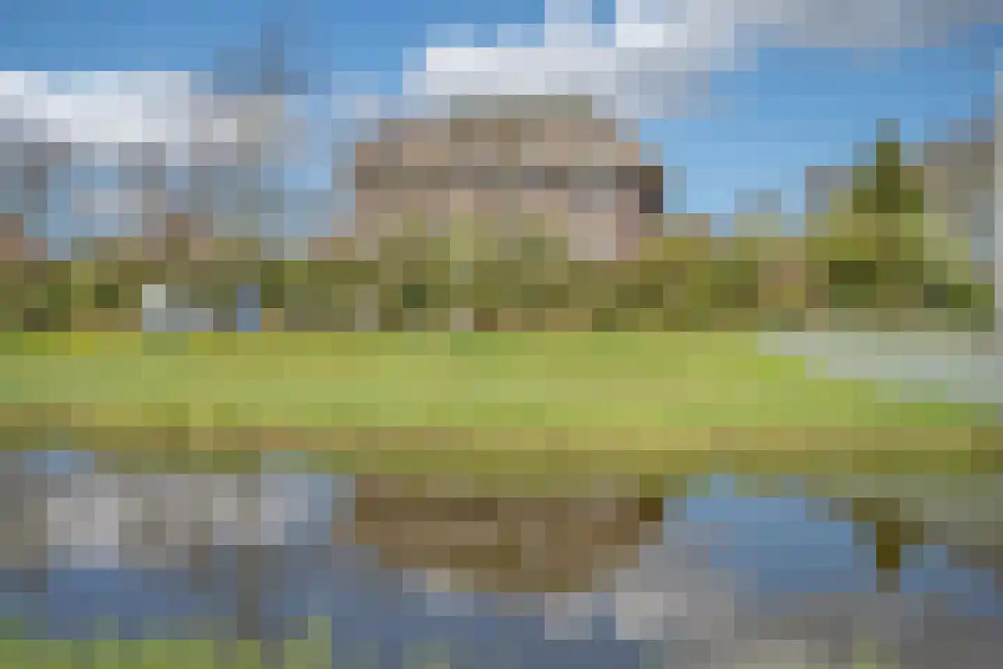 Wingerd 40 Den Haag thumbnail 5
