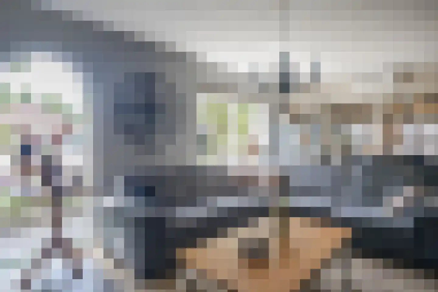 Wingerd 5 Vroomshoop thumbnail 10