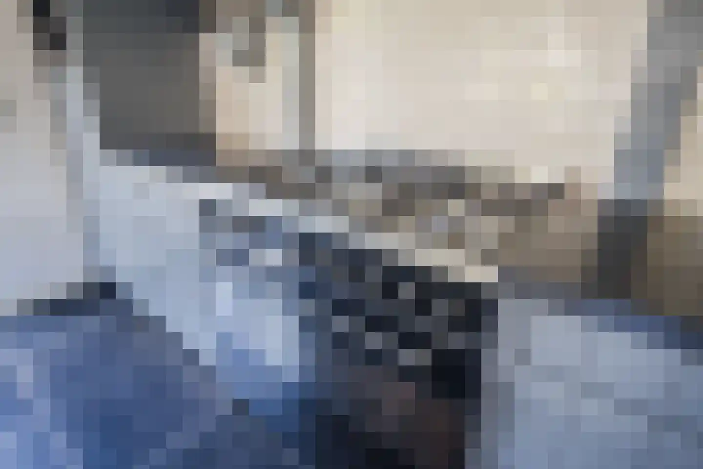 Wingerd 5 Vroomshoop thumbnail 16