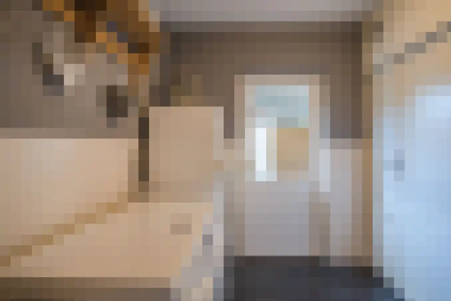 Wingerd 5 Vroomshoop thumbnail 21