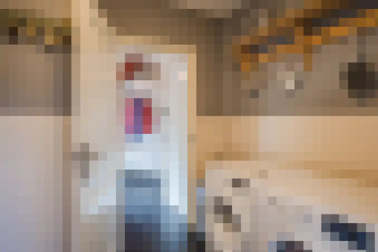 Wingerd 5 Vroomshoop thumbnail 22