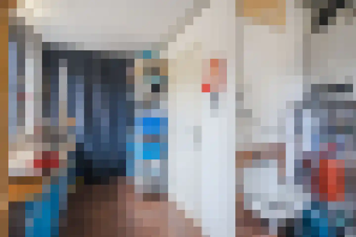 Wingerd 5 Vroomshoop thumbnail 24