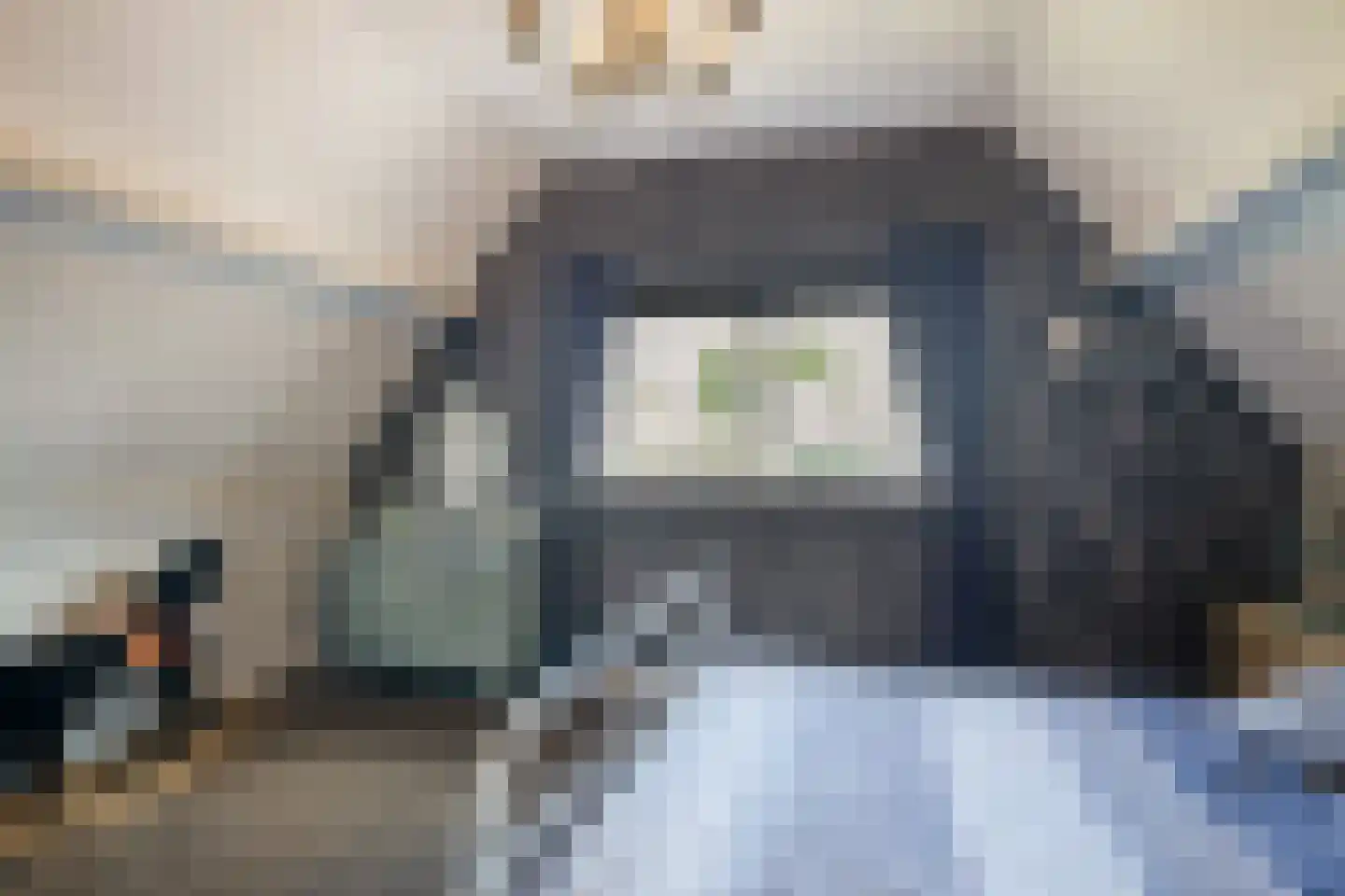 Wingerd 5 Vroomshoop thumbnail 38
