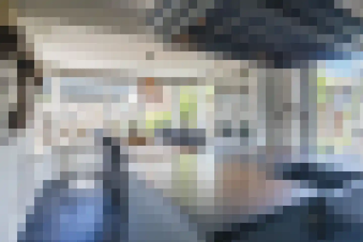 Wingerd 5 Vroomshoop thumbnail 4