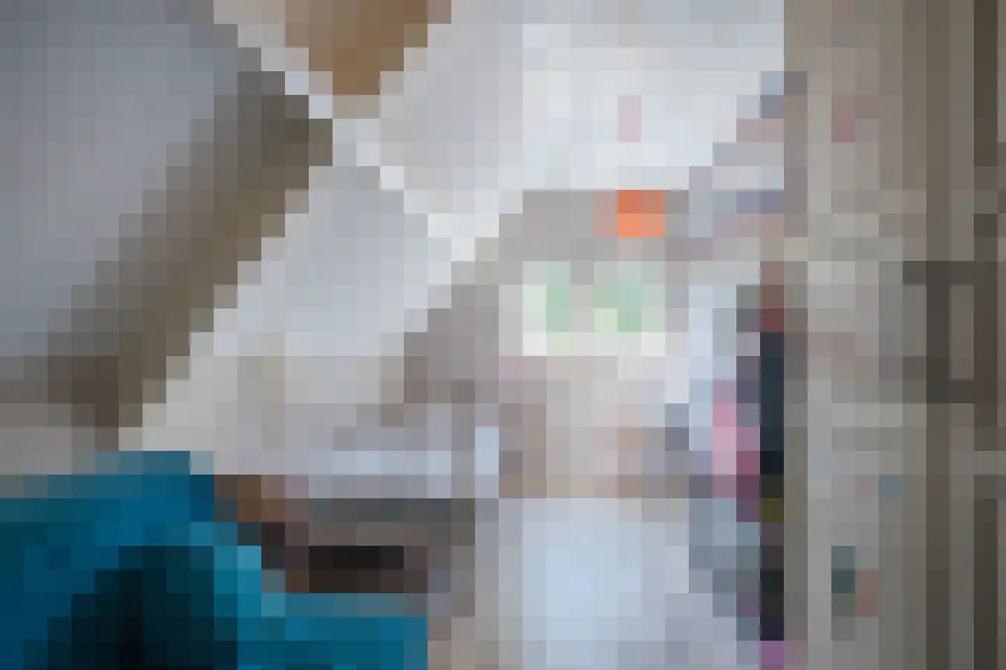 Wingerd 5 Vroomshoop thumbnail 41