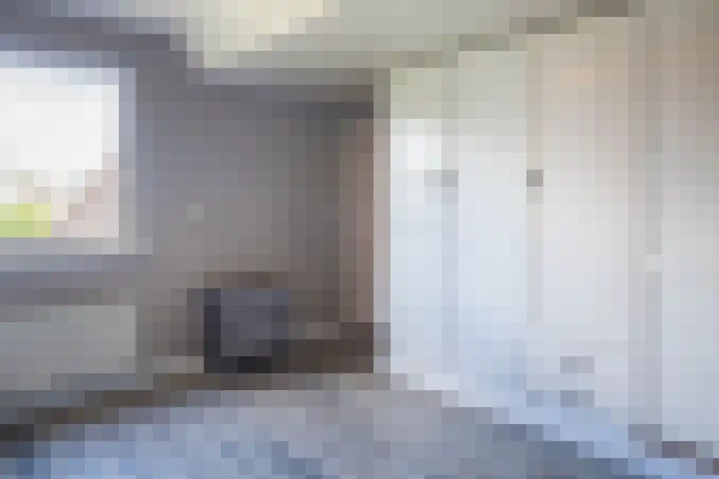 Wingerd 5 Vroomshoop thumbnail 43