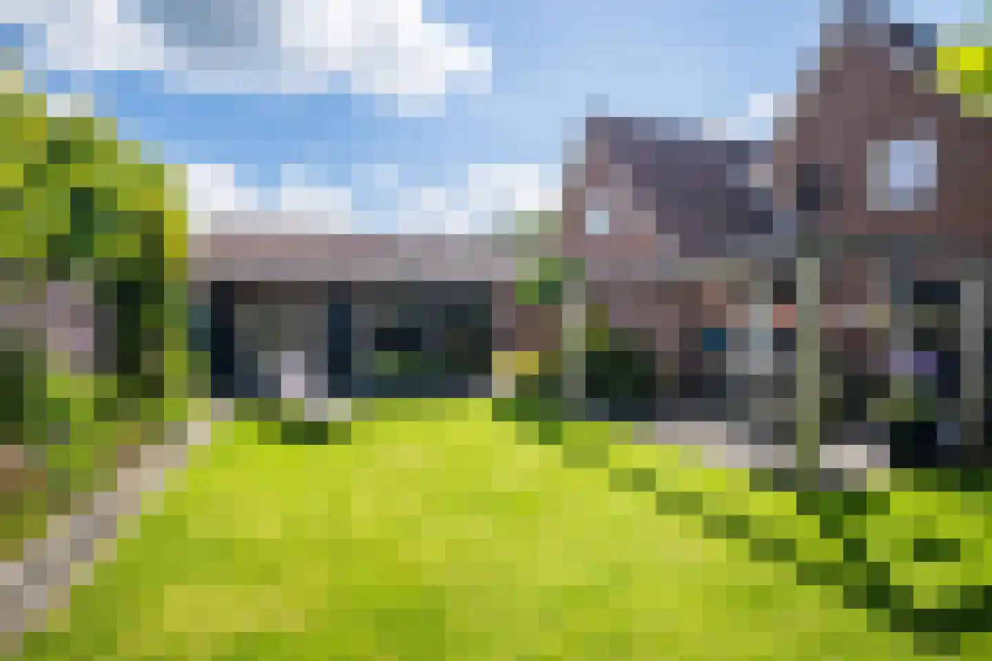 Wingerd 5 Vroomshoop thumbnail 5