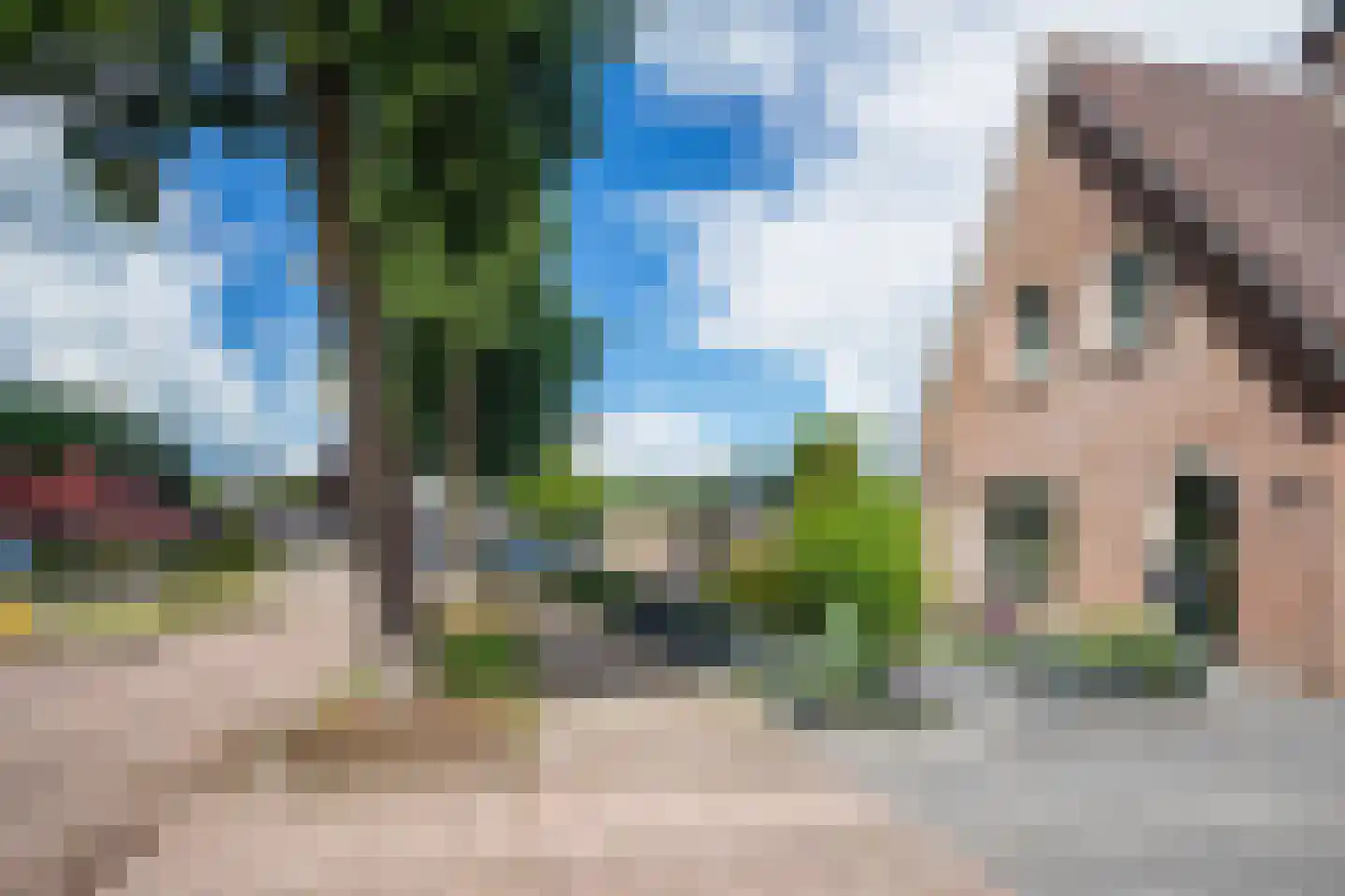 Wingerd 5 Vroomshoop thumbnail 50