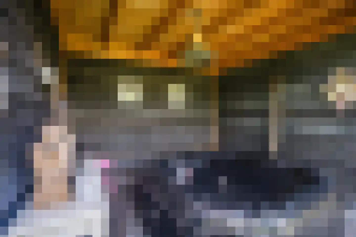 Wingerd 5 Vroomshoop thumbnail 54