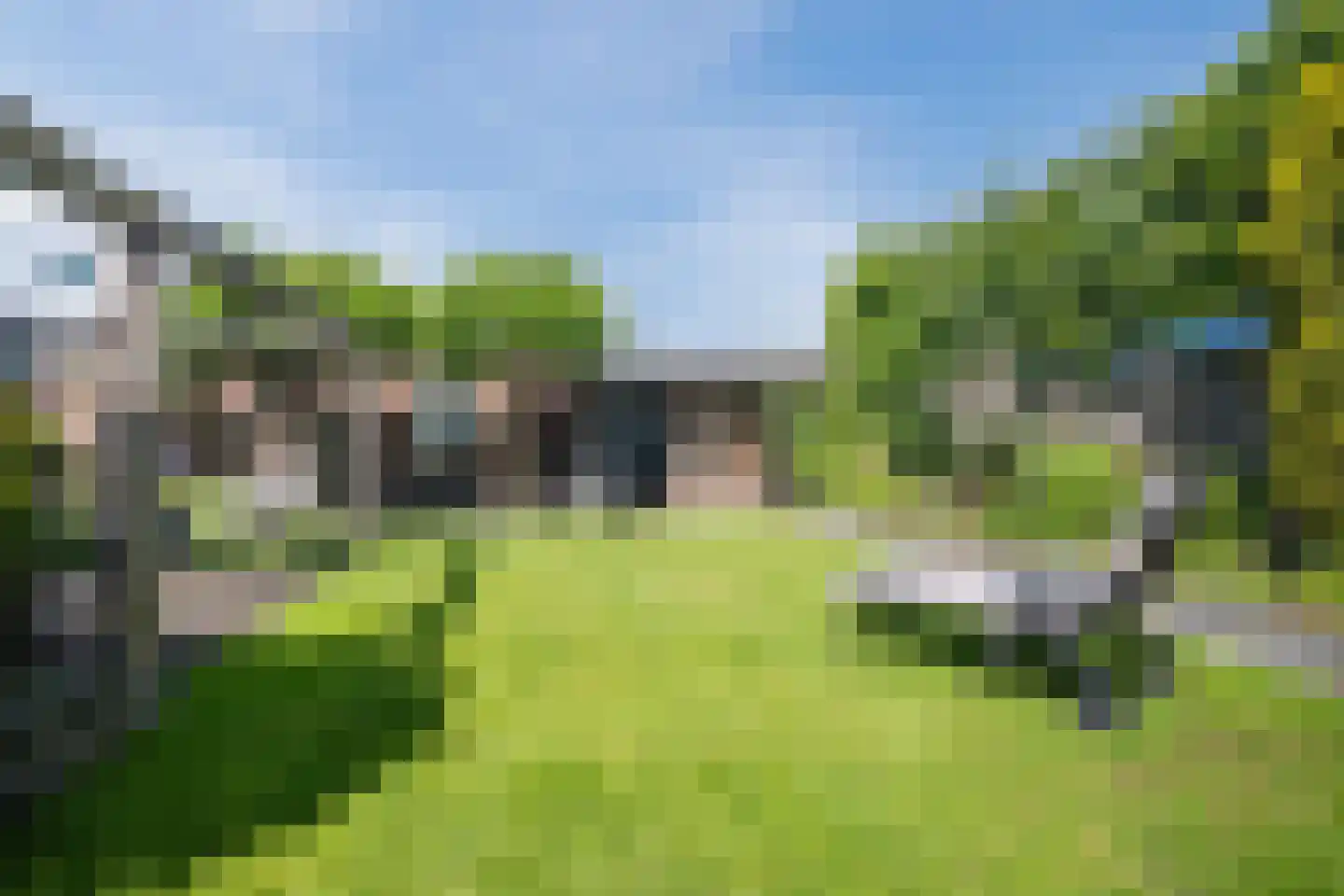 Wingerd 5 Vroomshoop thumbnail 56