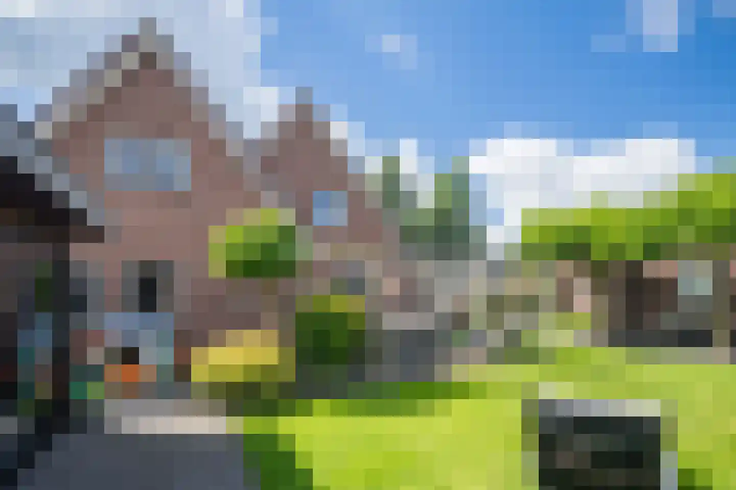 Wingerd 5 Vroomshoop thumbnail 6