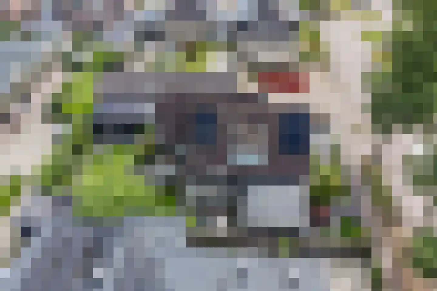Wingerd 5 Vroomshoop thumbnail 60