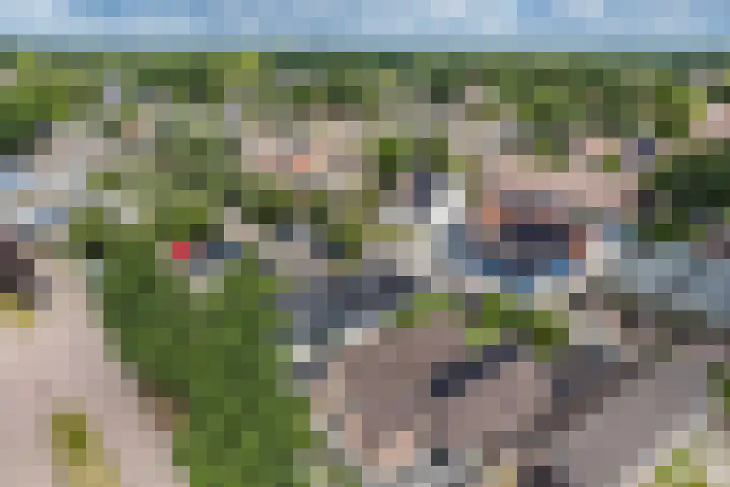 Wingerd 5 Vroomshoop thumbnail 62