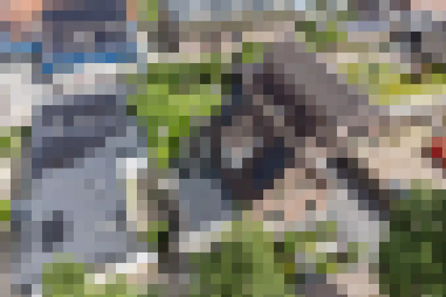 Wingerd 5 Vroomshoop thumbnail 64