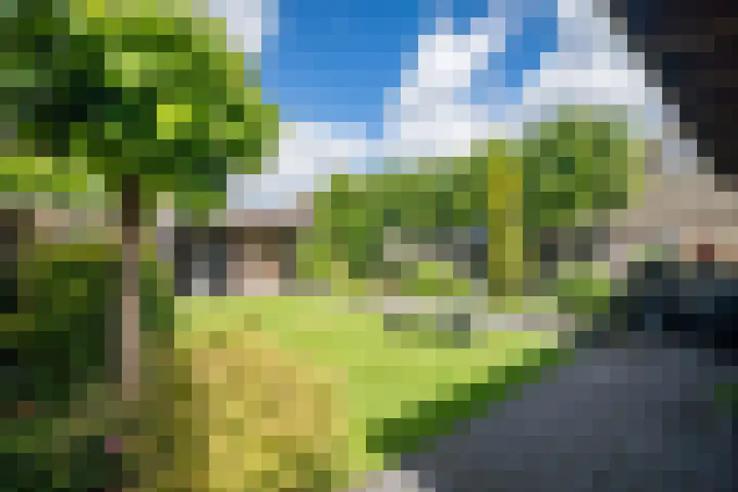 Wingerd 5 Vroomshoop thumbnail 65