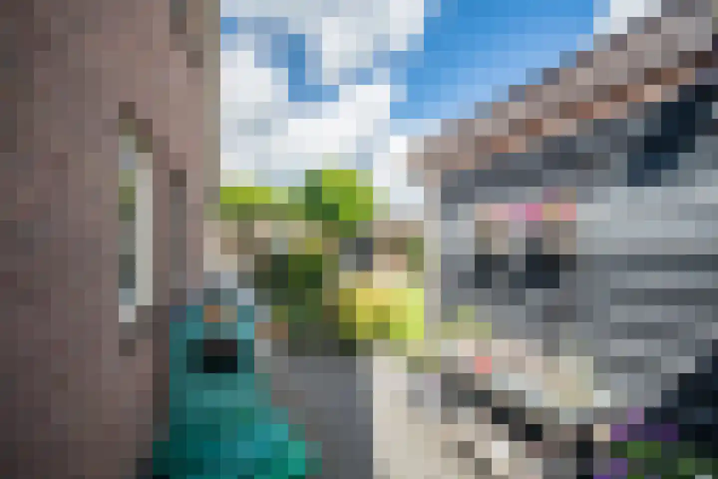 Wingerd 5 Vroomshoop thumbnail 66