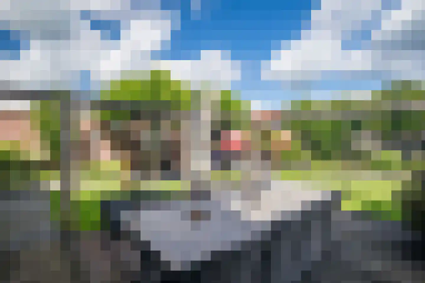 Wingerd 5 Vroomshoop thumbnail 68