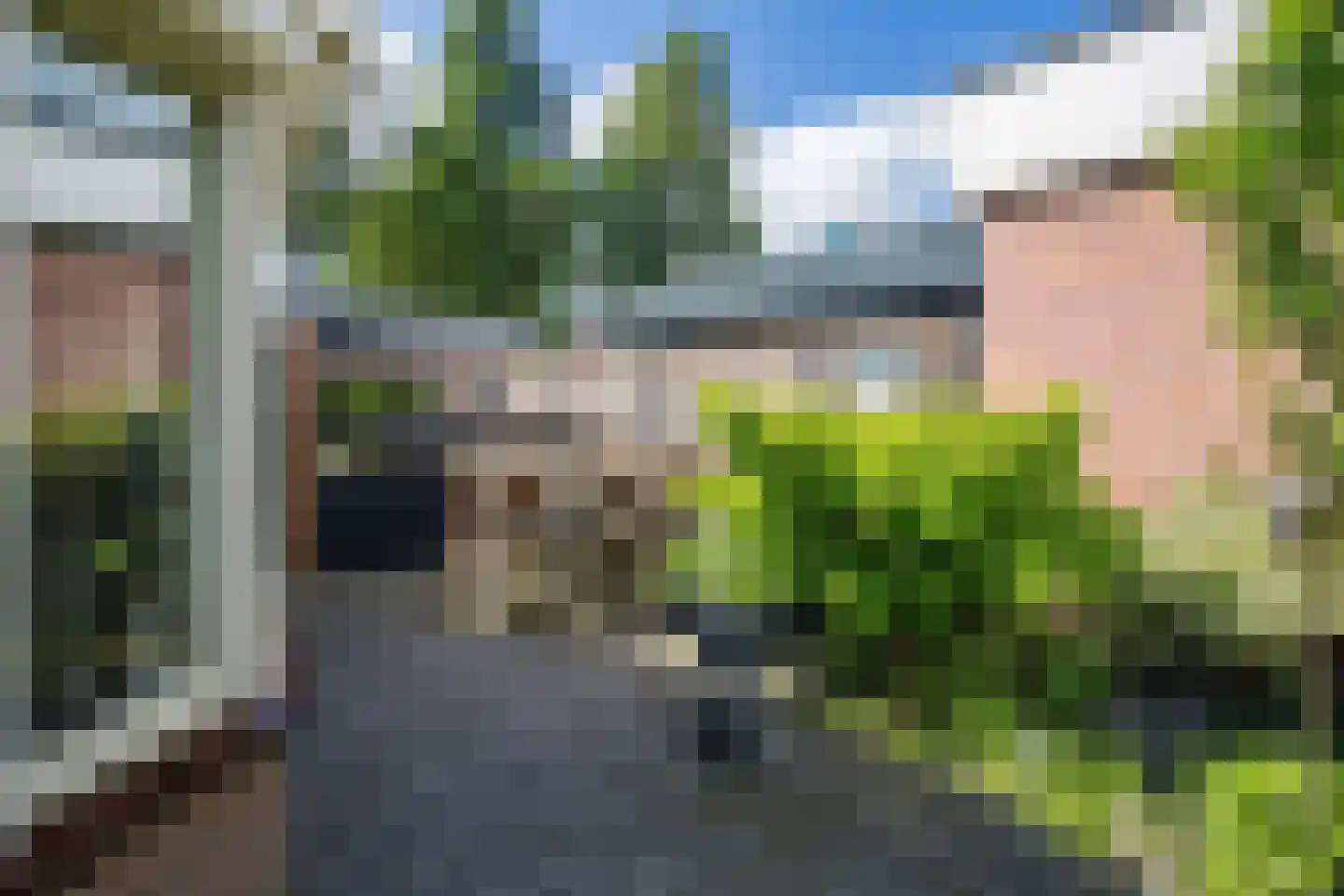 Wingerd 5 Vroomshoop thumbnail 69