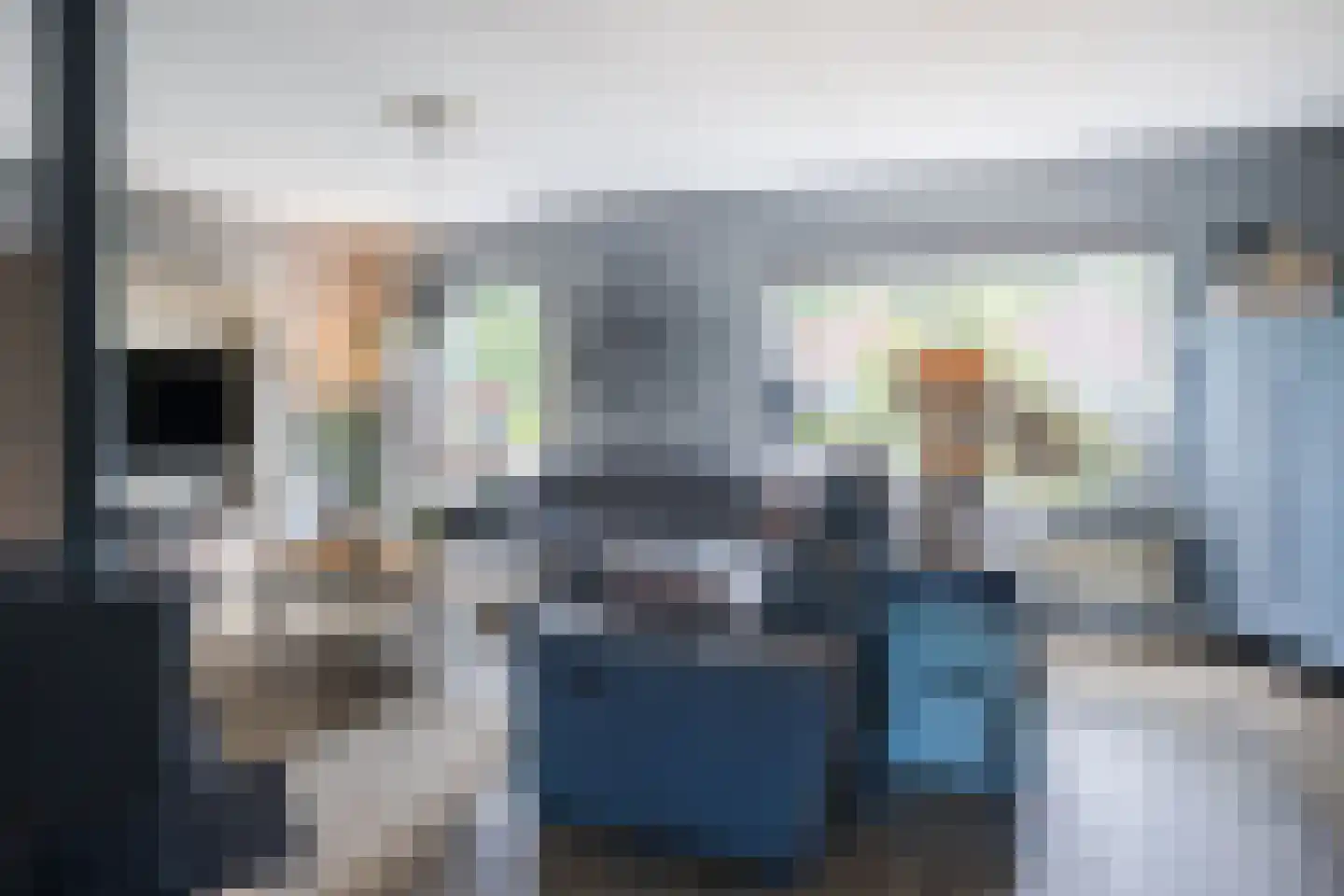 Wingerd 5 Vroomshoop thumbnail 7
