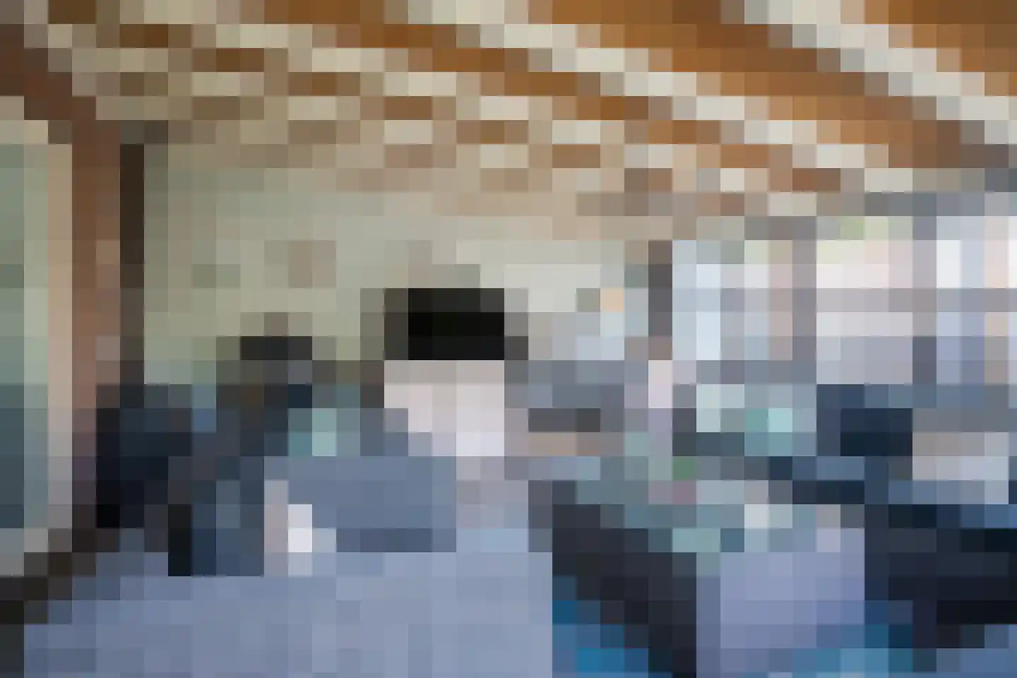 Wingerd 5 Vroomshoop thumbnail 71