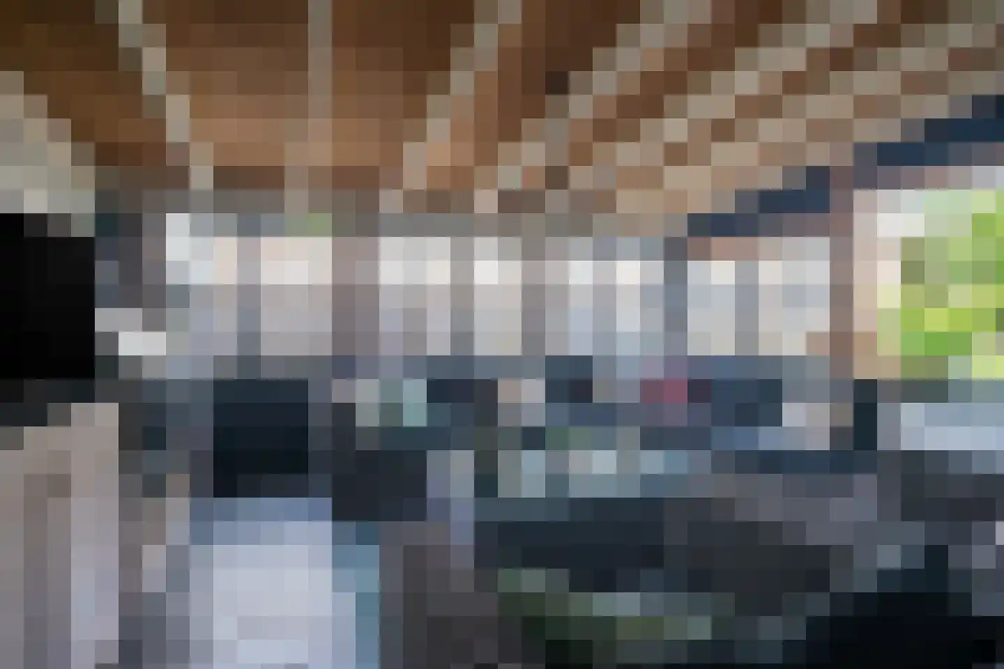 Wingerd 5 Vroomshoop thumbnail 72