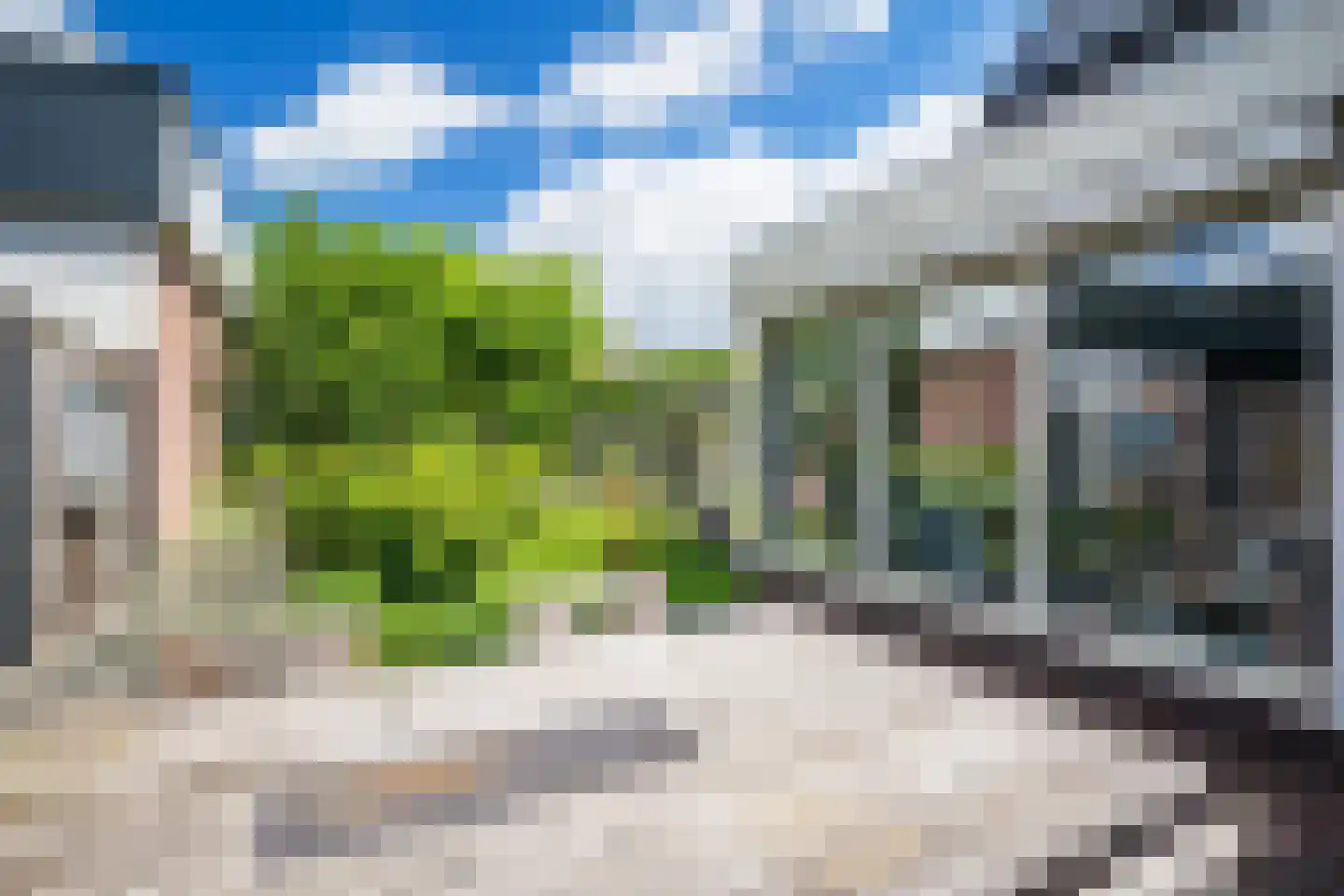 Wingerd 5 Vroomshoop thumbnail 75
