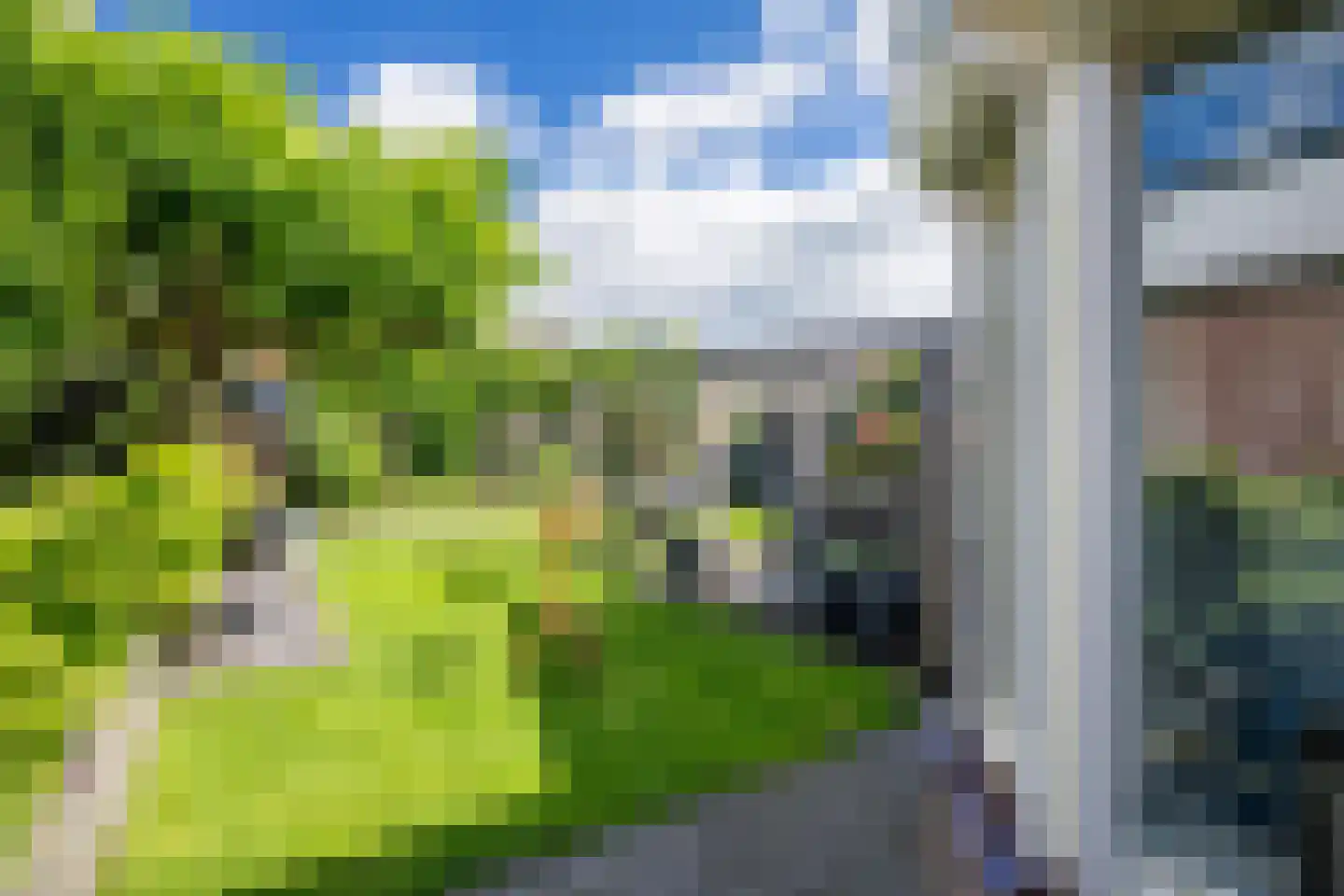 Wingerd 5 Vroomshoop thumbnail 76