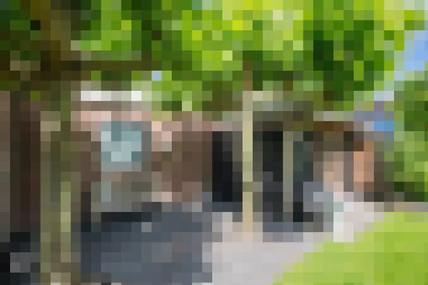 Wingerd 5 Vroomshoop thumbnail 77
