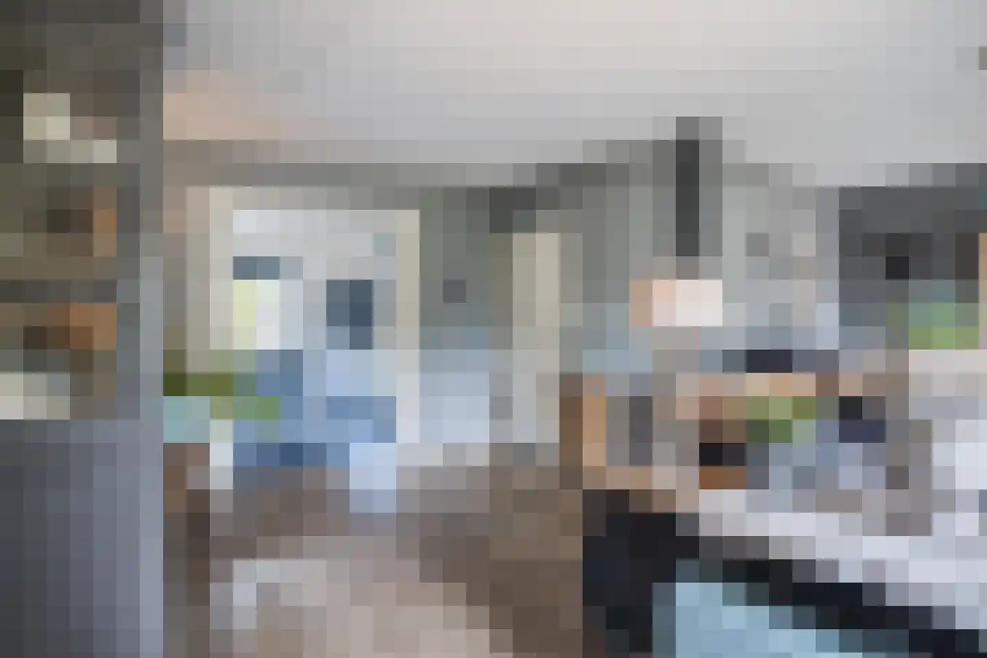 Wingerd 5 Vroomshoop thumbnail 8