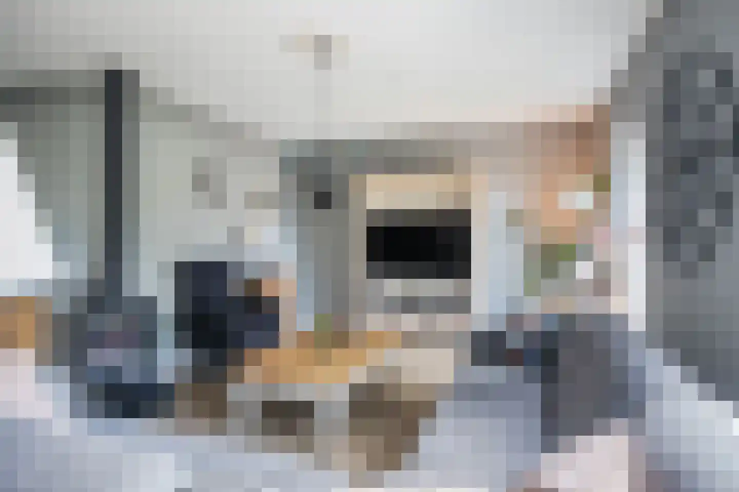 Wingerd 5 Vroomshoop thumbnail 9