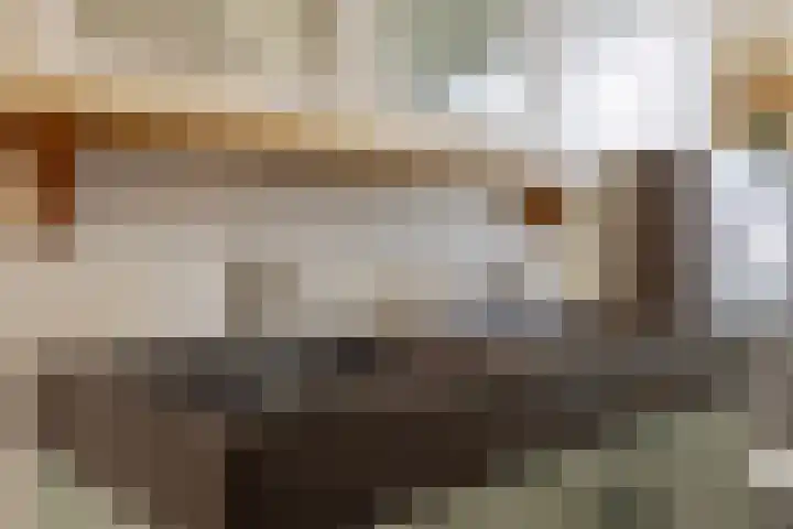 Wingerd 61 Schaijk thumbnail 30