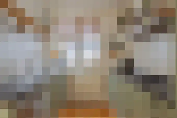 Wingerd 61 Schaijk thumbnail 4