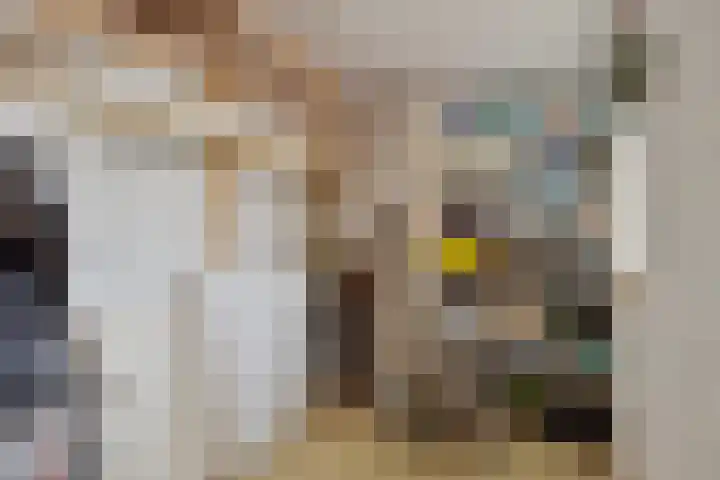 Wingerd 61 Schaijk thumbnail 43