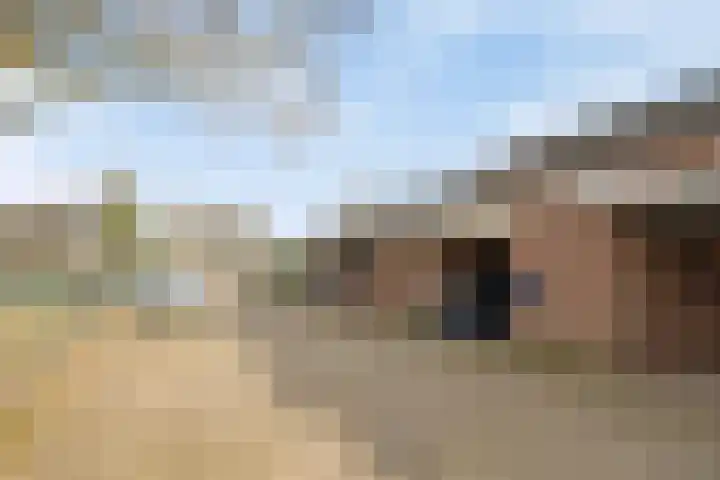 Wingerd 61 Schaijk thumbnail 45