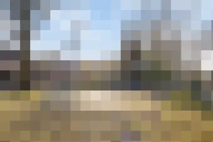 Wingerd 61 Schaijk thumbnail 48