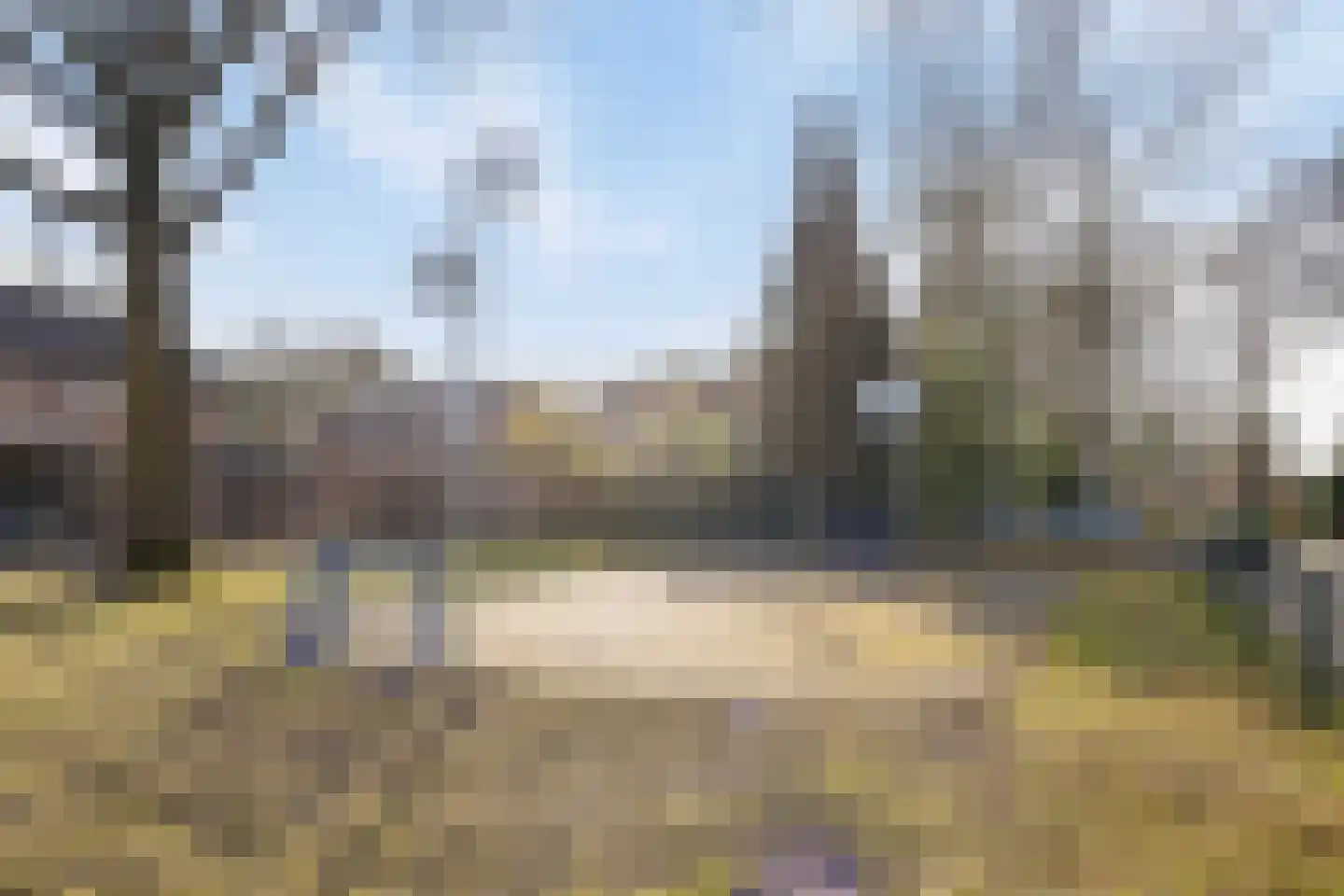 Wingerd 61 Schaijk thumbnail 48