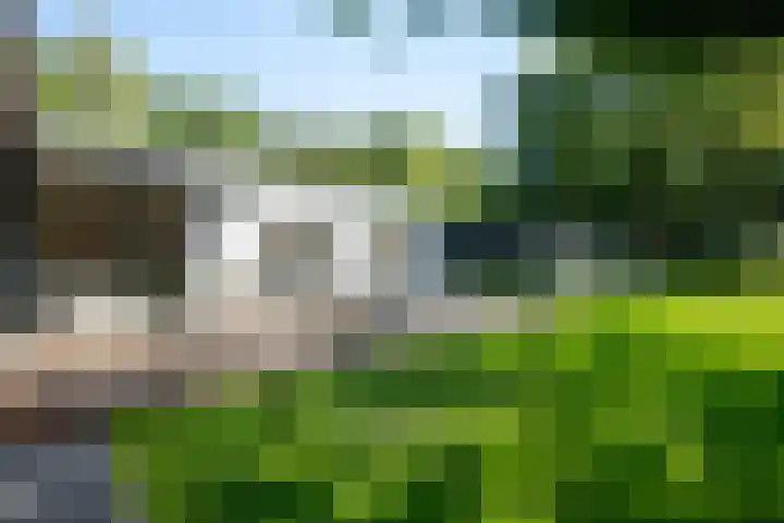 Wingerd 61 Schaijk thumbnail 7