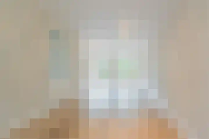 Wingerd 68 Den Haag thumbnail 15