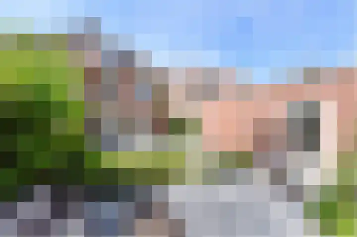 Wingerd 68 Den Haag foto 3