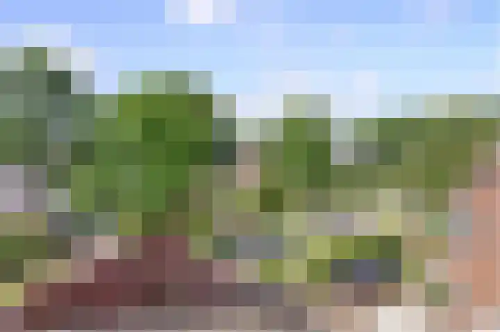 Wingerd 68 Den Haag thumbnail 4
