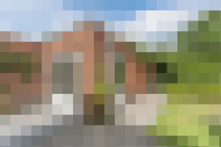 Wingerd 68 Den Haag thumbnail 58