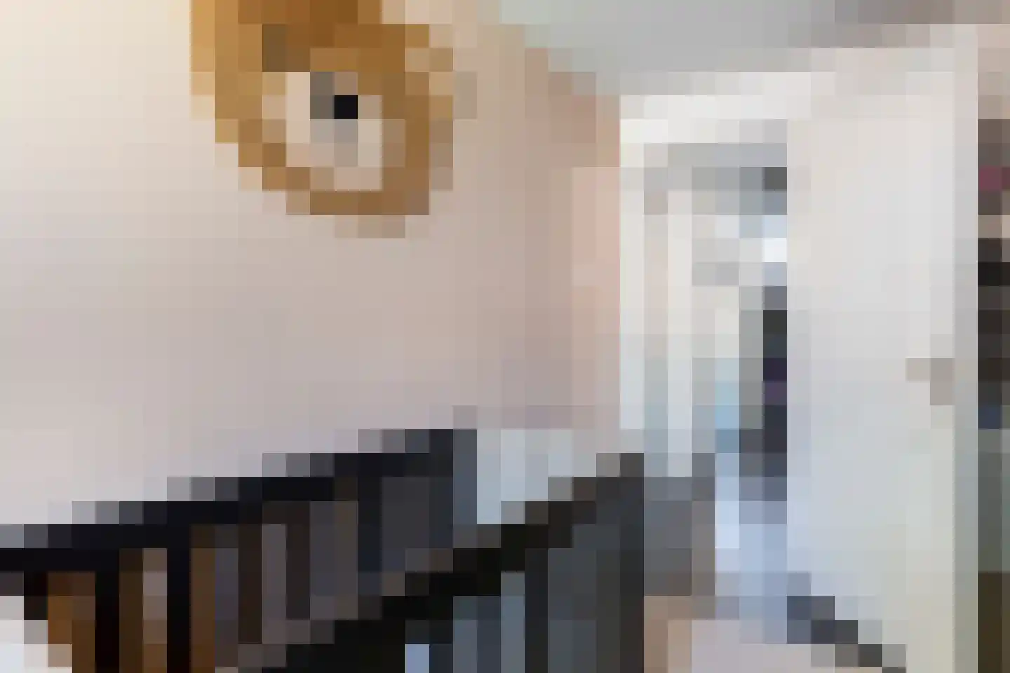 Wingerd 85 Waddinxveen thumbnail 25