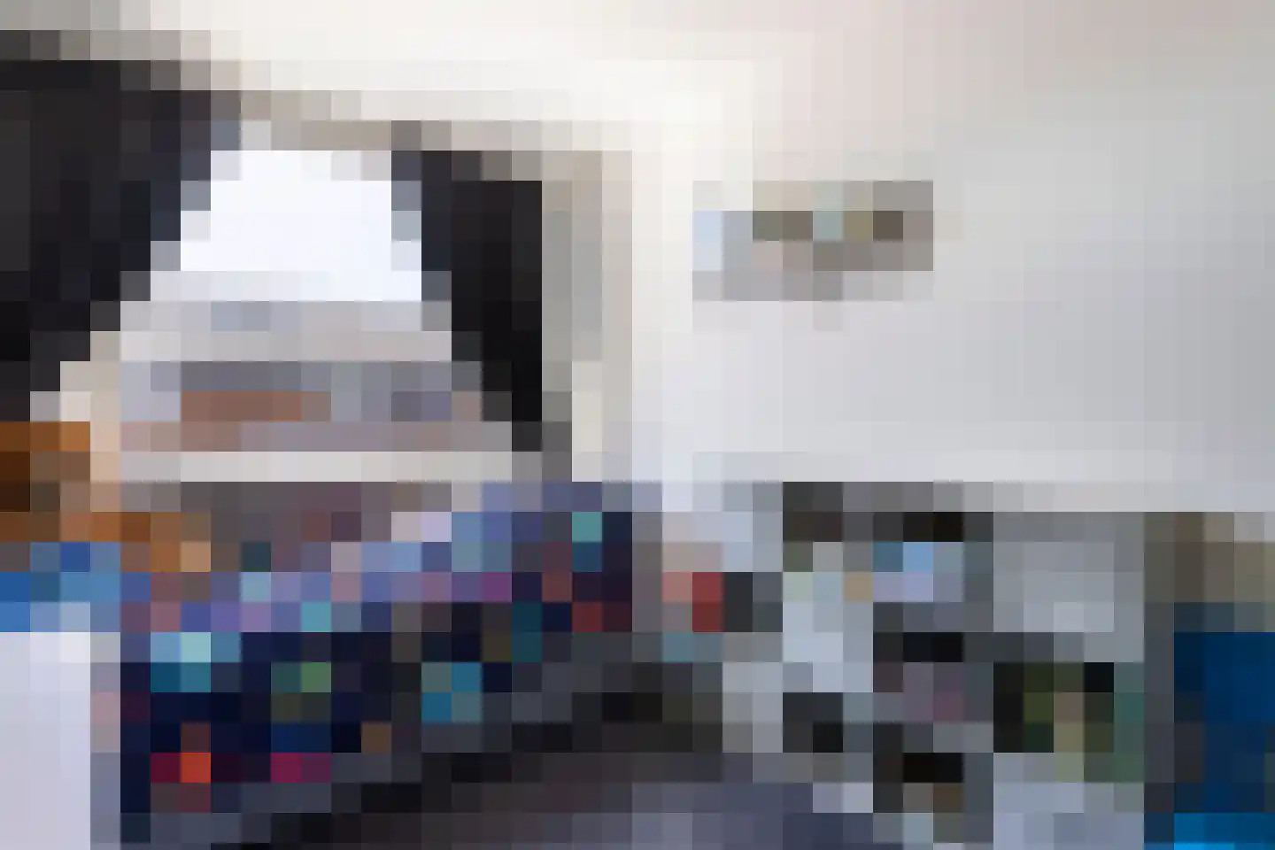 Wingerd 85 Waddinxveen thumbnail 28