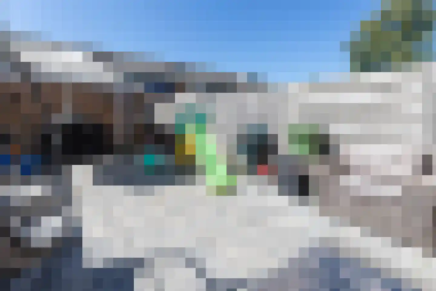 Wingerd 85 Waddinxveen thumbnail 35