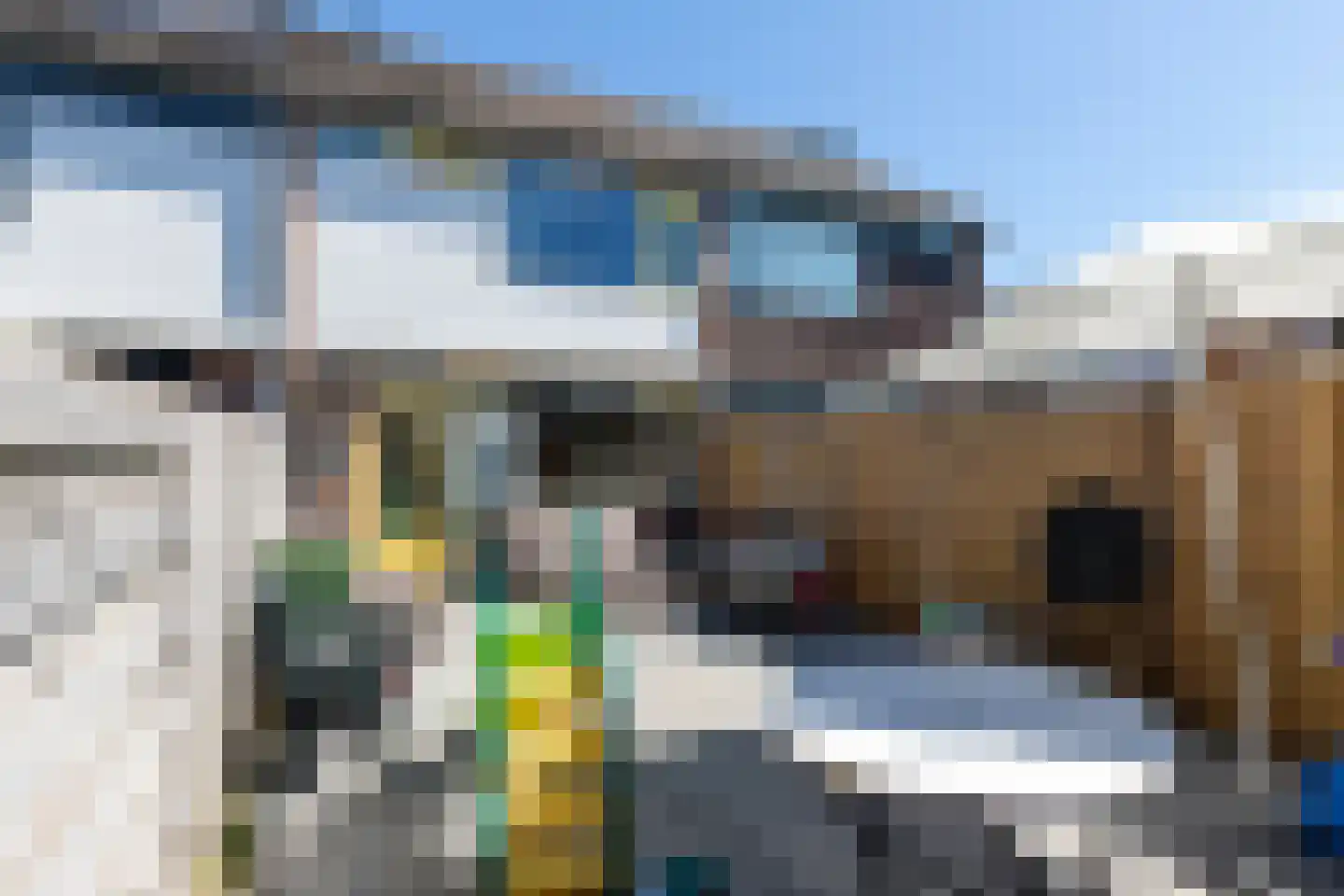 Wingerd 85 Waddinxveen thumbnail 36