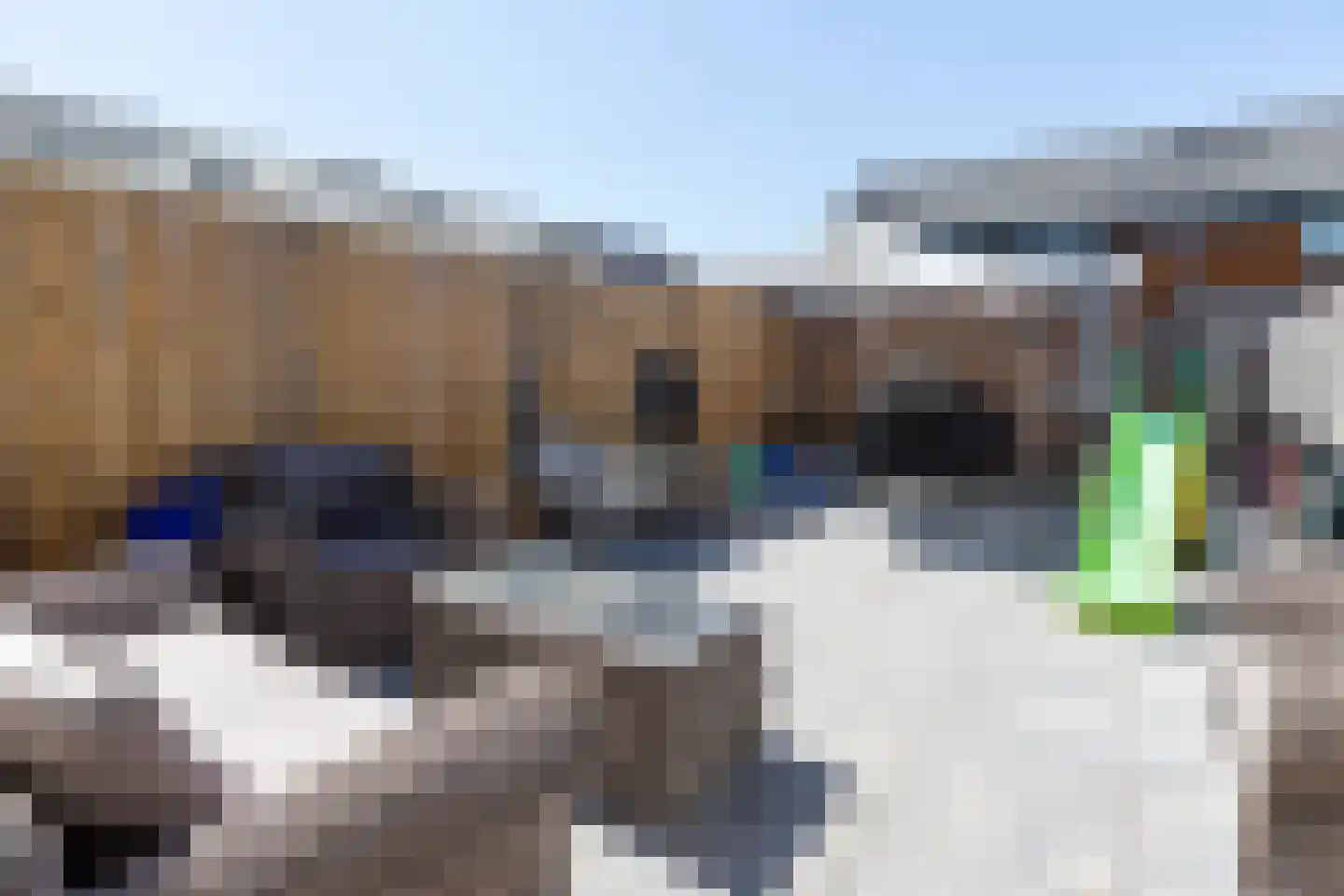 Wingerd 85 Waddinxveen thumbnail 4