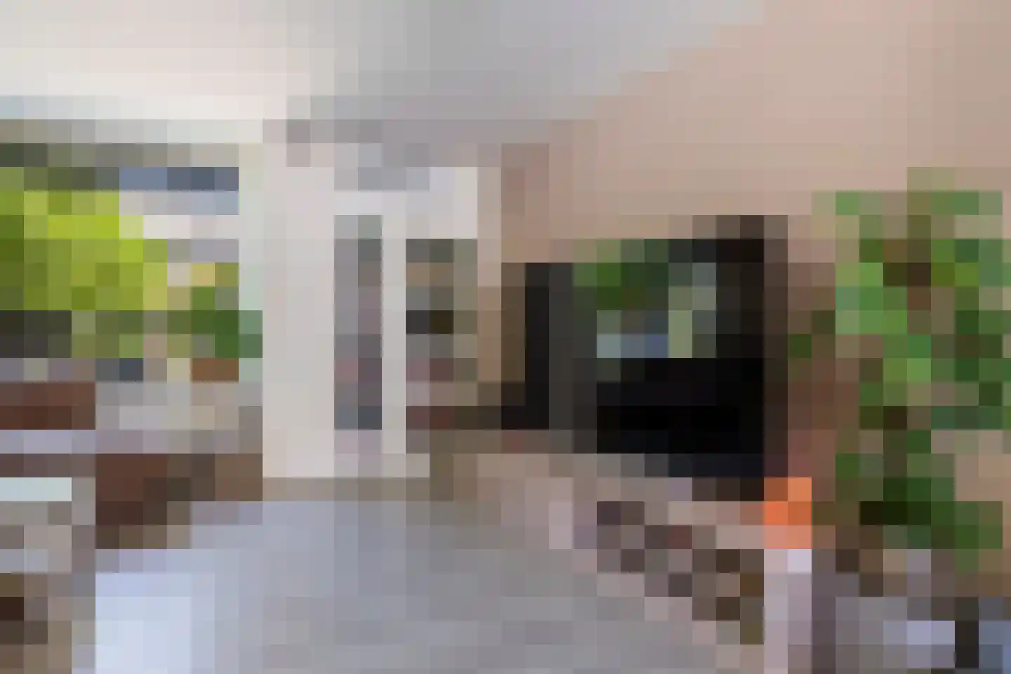 Wingerd 85 Waddinxveen thumbnail 7