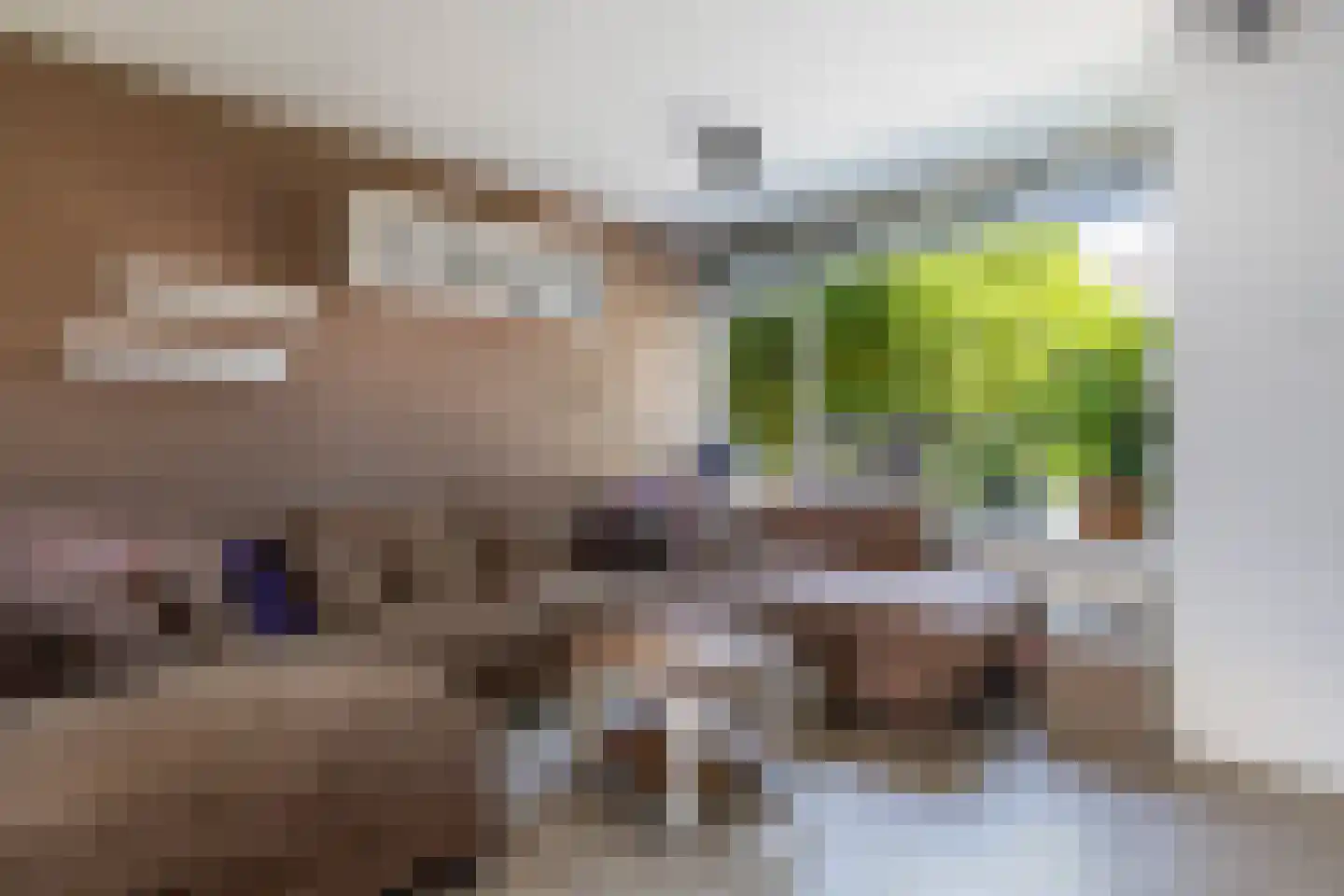 Wingerd 85 Waddinxveen thumbnail 9
