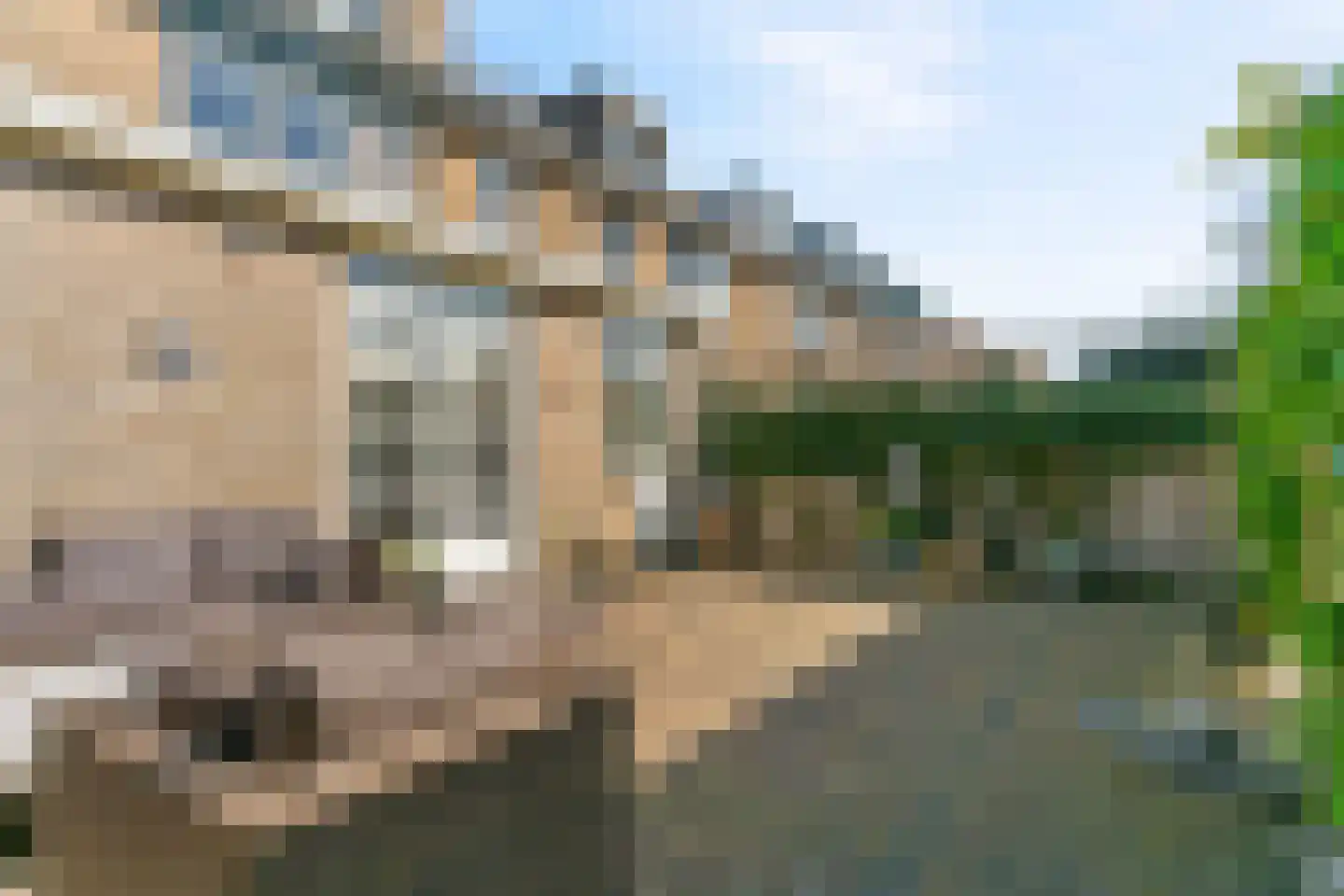 Wingerd 9 Beverwijk thumbnail 32