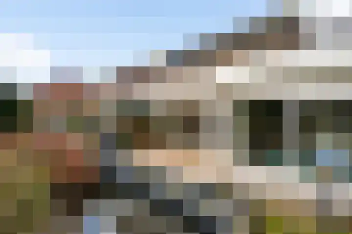 Wingerd 9 Someren thumbnail 32